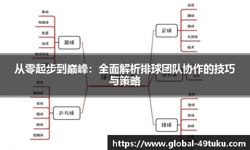 从零起步到巅峰：全面解析排球团队协作的技巧与策略